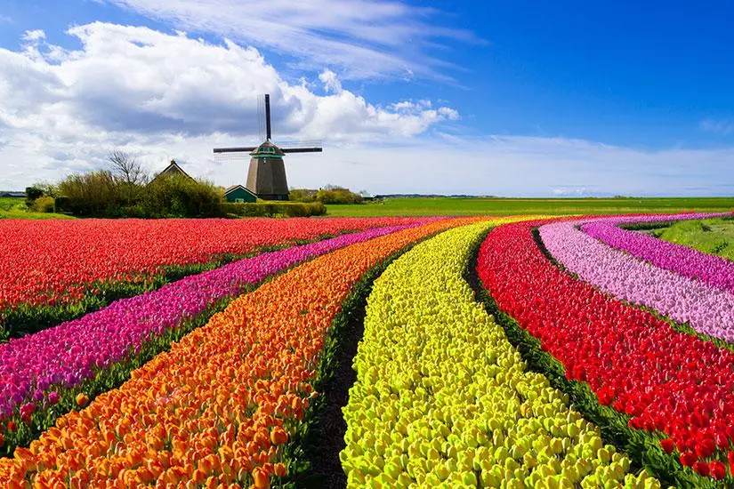 Netherlands